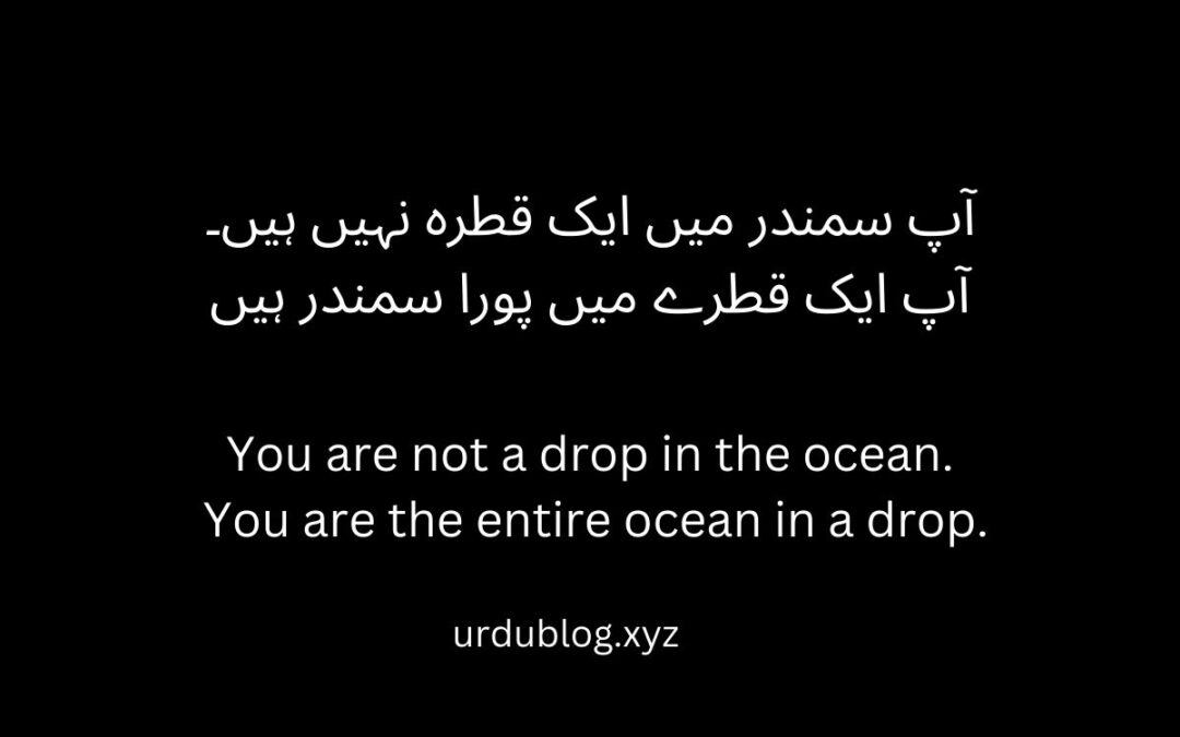 You are not a drop in the ocean. You are the entire ocean in a drop.